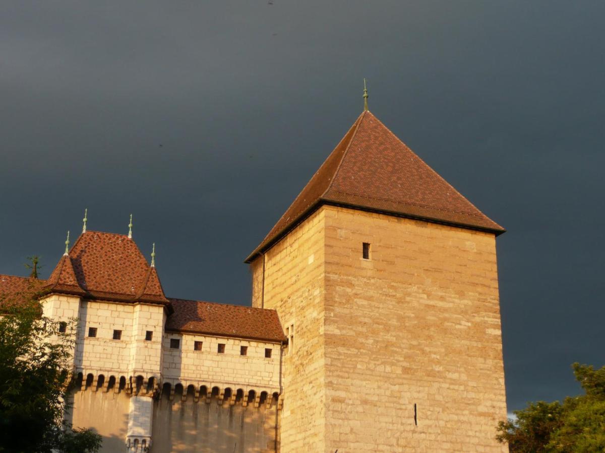 Appartement Dans La Vieille Ville, En Face Du Chateau Annecy Bagian luar foto
