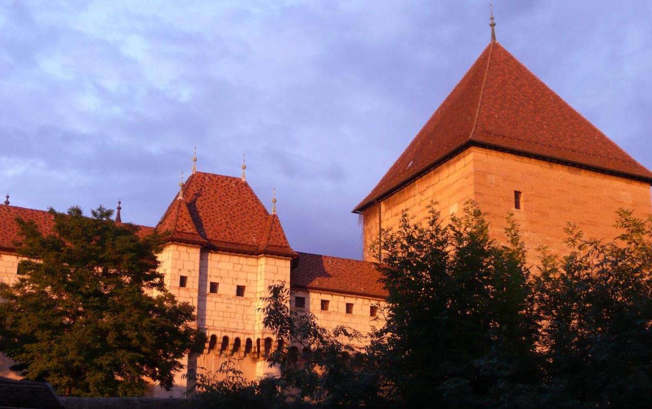Appartement Dans La Vieille Ville, En Face Du Chateau Annecy Bagian luar foto