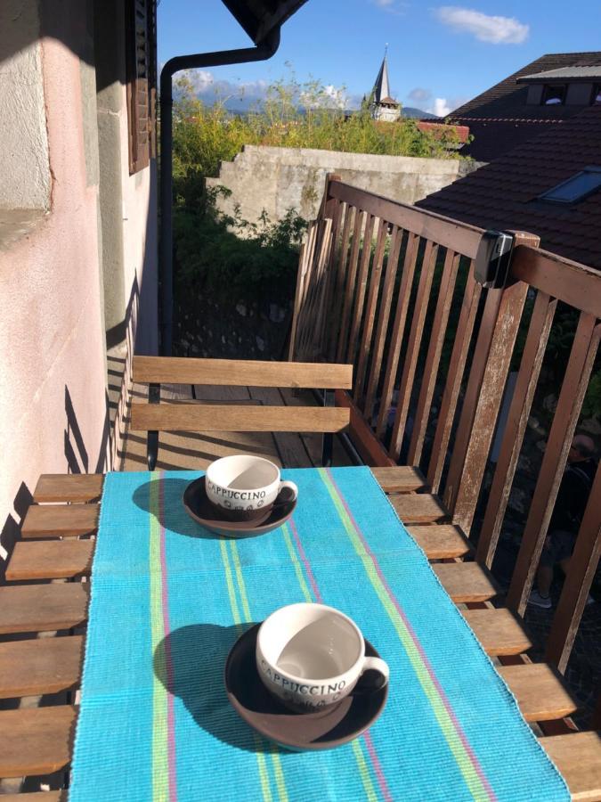 Appartement Dans La Vieille Ville, En Face Du Chateau Annecy Bagian luar foto